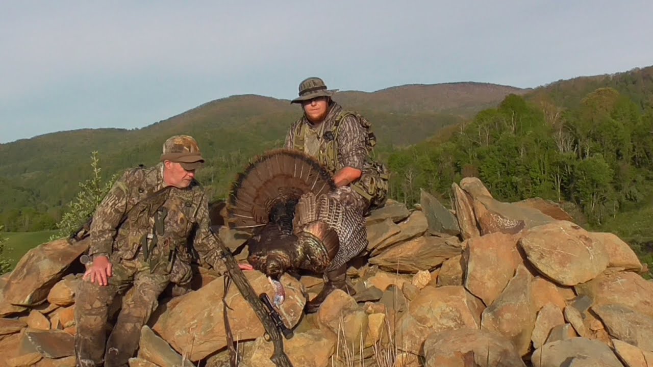 Late Season Virginia Spring Turkey Season (The Christmas Tree Trio)