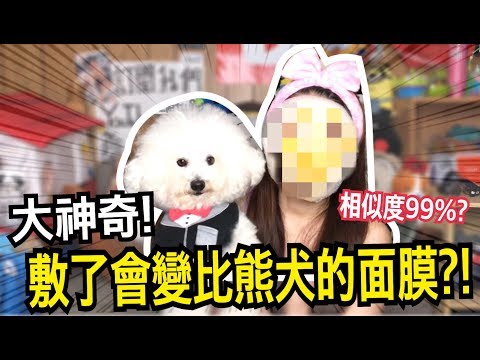 狛在康熙字典中的解释 健康跟著走 狛在康熙字典中的解释 健康跟著走