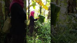 Pokona Ngabolang Anu Ayenamah Ngala Lalabana Sangat Menantang