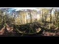 BLM 360: Wildwood Recreation Site, forest clearing (shade)
