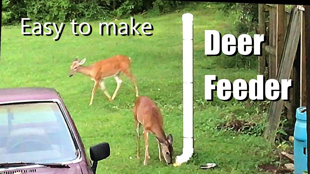 Simple Gravity DEER FEEDER w/o Drilling or Glue- APPLE CORN - YouTube