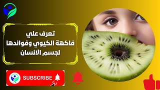 فاكهة الكيوي وفوائدها لجسم الإنسان