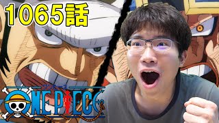 ONE PIECE 第1065話「同盟壊滅！？燃えろ新世代の意志！」【初見リアクション】ONE PIECE Episode 1065 Reaction