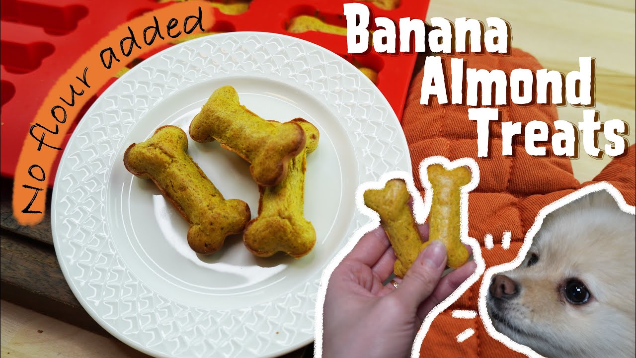 Banana Almond Treat Homemade Treat for Dog MyPetcipe YouTube