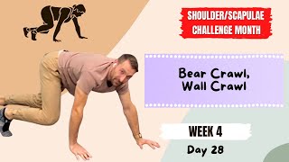 Wall Climbers and Bear Crawls