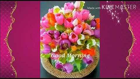 Class II_Maths _Division_  by Ms. Deepti Gupta ( module 11)