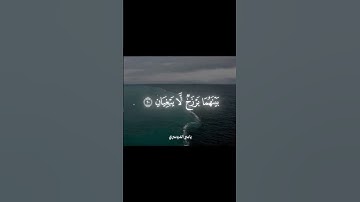 تلاوة خاشعة تأسر القلوب | استمع للقرآن الكريم بصوت ملائكي يريح النفس#قرآن #قرآن_کریم_