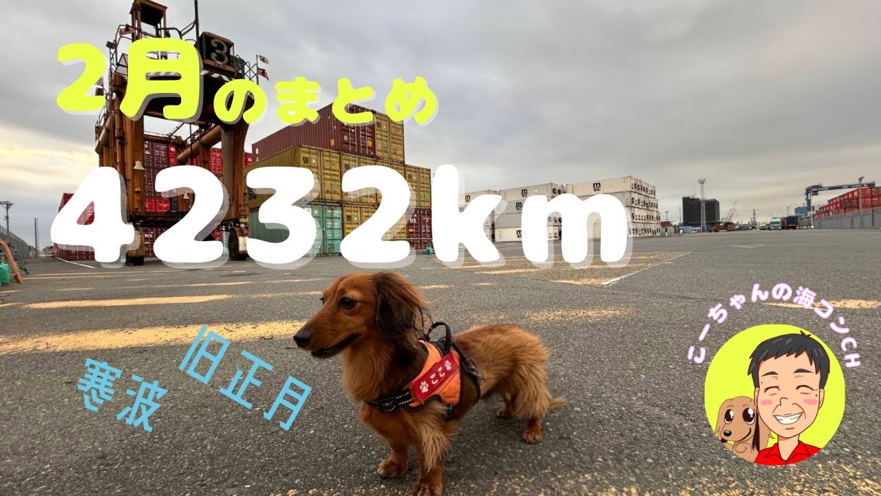 海コン運転手 2月の走行距離・運行実績【月次まとめ】