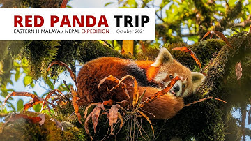 Lukas Zeman: Expedition Red Panda / Nepal (October 2021)