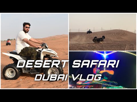 Desert Safari 🏜 | Dubai Vlog | Ft. @BrownLad