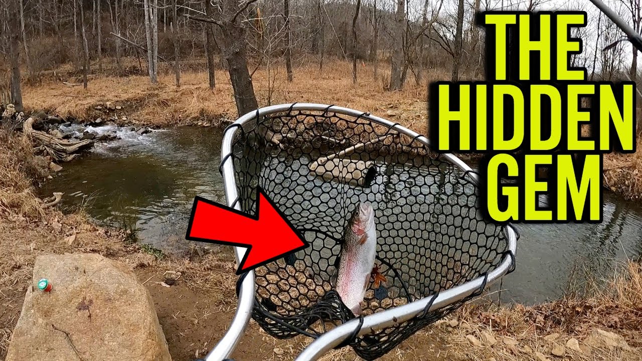 CATCHING LIMITS at THE HIDDEN GEM near ROANOKE VIRGINIA! HIDDEN GEM TROUT STREAM FISHING BLUE RIDGE!