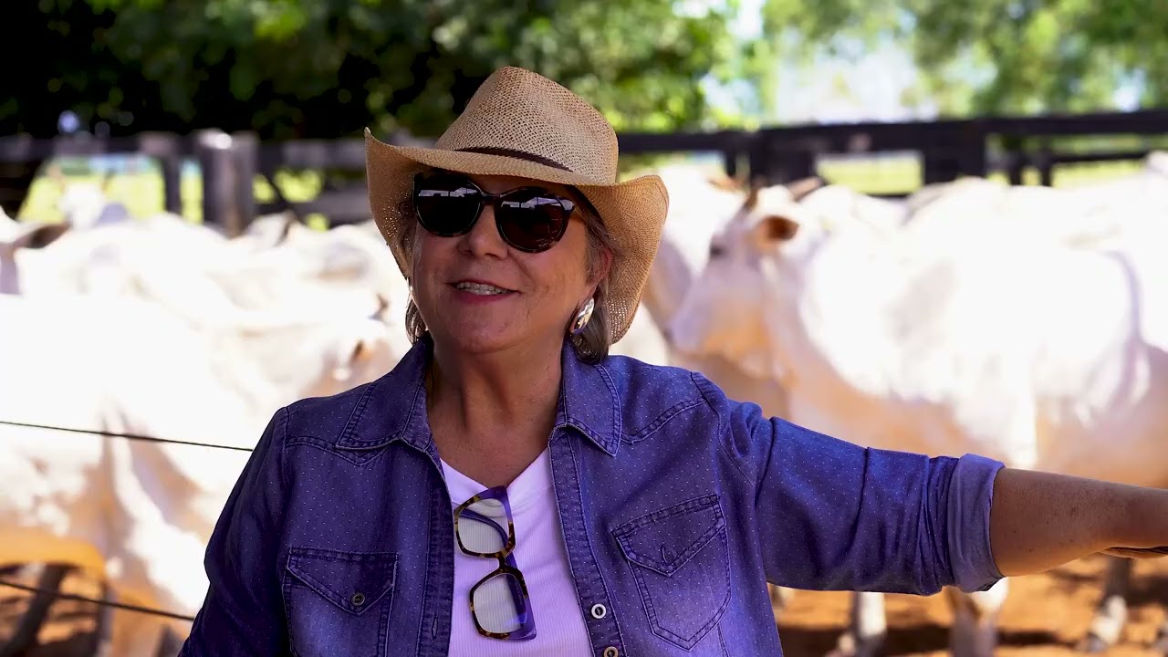 FAZENDA BRASILIA 45 ANOS