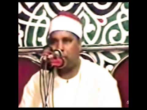 الشيخ محمد الليثي سورة البقرة أينما تكونوا