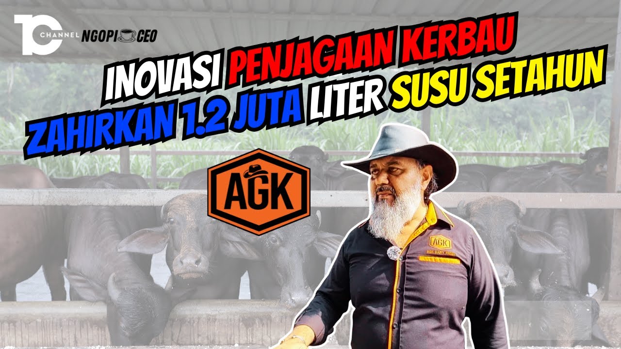 Baka Kerbau Unik Di AGK Farm | Berkubang Setiap Minggu Di Taman Permainan | Ngopi x CEO EP 14
