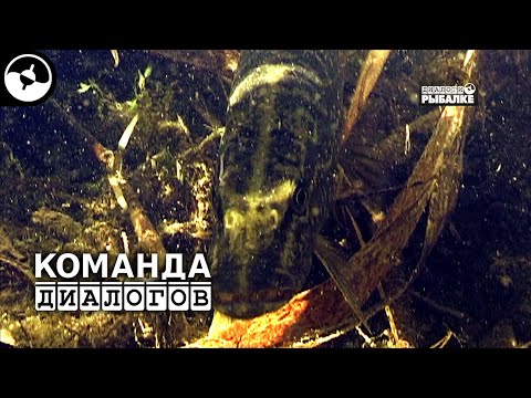 Зимняя рыбалка. Коми. Тайга | Новые Диалоги ©