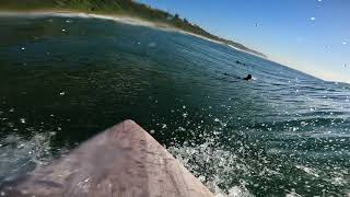 GROW BLANKS, AGAVE SURFBOARD Surf POV