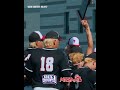 Divine Child Baseball Going to the Semifinals