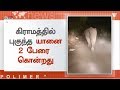 2 பேரை கொன்ற யானையை சைரன் ஒலிக்க வனத்துறையினர் விரட்டிச் சென்றனர்