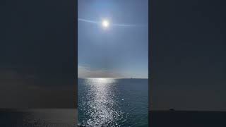 IMG 7188