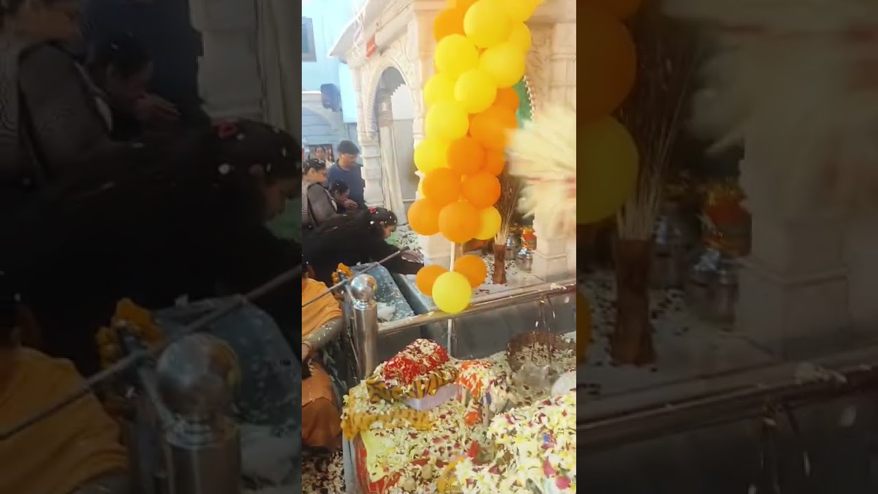 होली महोत्सव, पटियाला, पंजाब Jay shree Krishna 