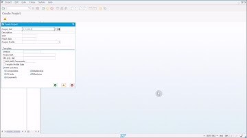 SAP TERP10 - Exercise 70 - Create a Project with WBS Elements