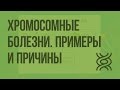 Хромосомные болезни. Примеры и причины. Видеоурок по биологии 10 класс