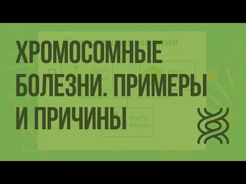 Бейне: Анеуплоидия мутация ма?