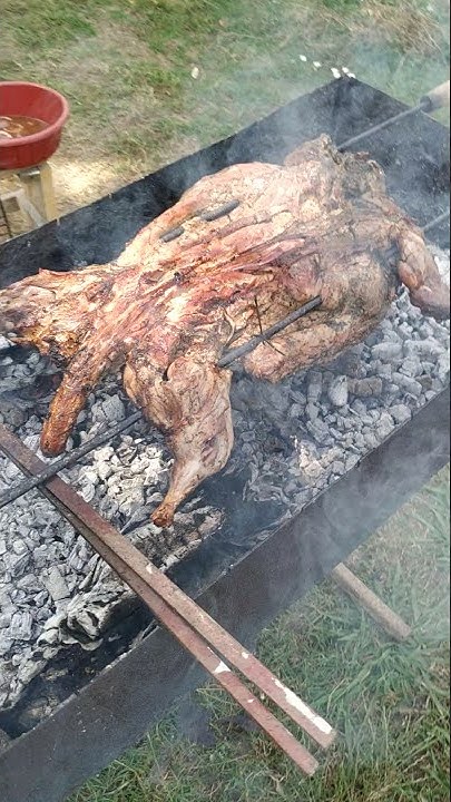 нутрии шашлык очень вкусно - YouTube