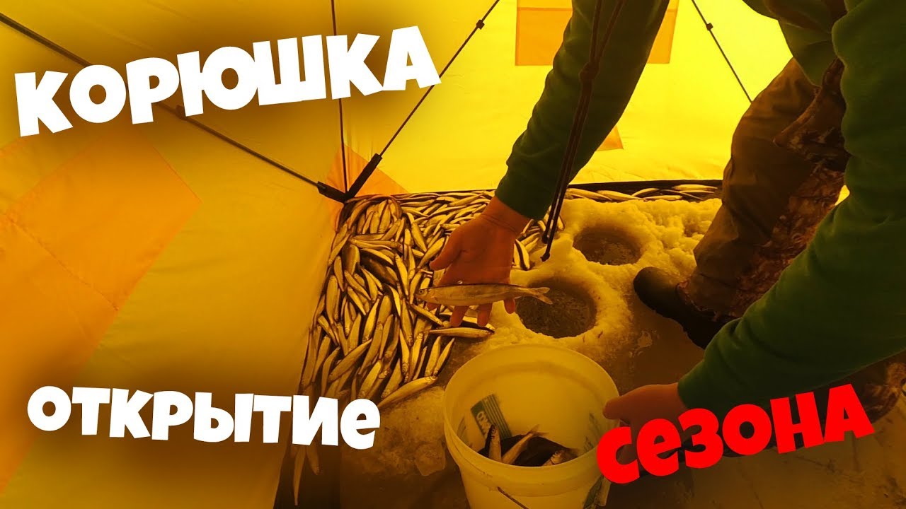 КОРЮШКА МАЛОРОТАЯ | ОТКРЫТИЕ СЕЗОНА 2019-2020 - YouTube