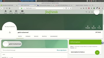 Unrestricted File Upload on finefriends