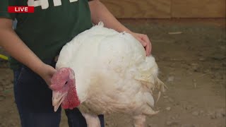 24th Annual Union County Farm Show in Union Sept 19