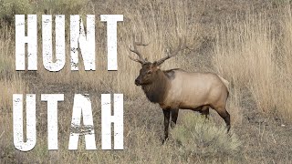 How To Hunt UTAH | Application Season screenshot 2