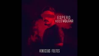Vinicius Feltes - Espero Você Voltar Áudio Oficial