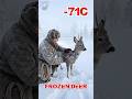 Frozen Deer in Ice After Storm... Old Lady Saved in Winter Rescue #animals #viral #shorts #wildlife