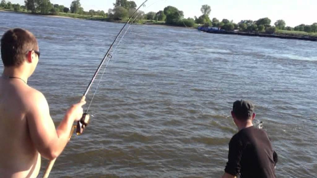 Spinnrute rhein Clearance