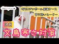 文鳥寒さ対策☆寄り添いヒーター＆鳥かご夜用ダンボール保温ケースJava sparrow