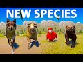 New species category speed races in planet zoo included macaw wolf fisher