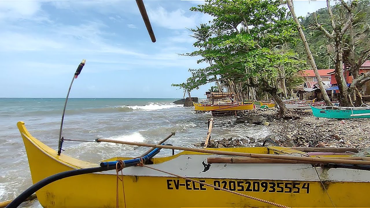 Cadac-an Tinalian Lawa-an Bahay Pilar Malaguicay Buaya San Francisco Abuyog Leyte Road Trip