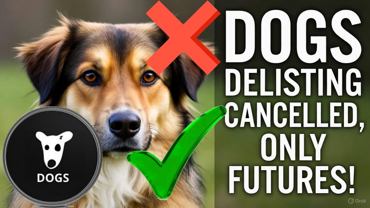 DOGS DELISTING CANCELED ONLY FUTURES BYBIT