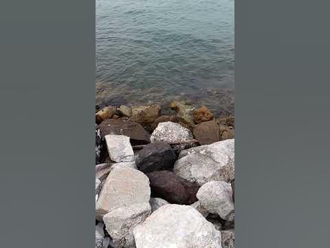 Каменный берег моря: Образ для расслабления - YouTube