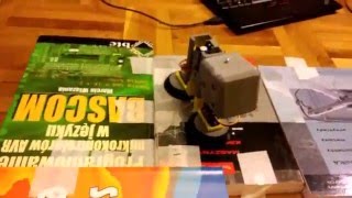 Simple Bot 3D printed   4DOF