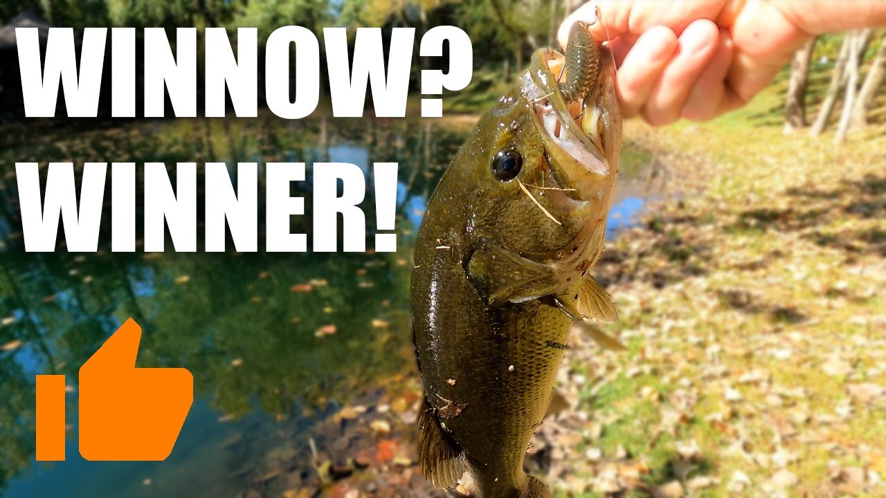 Fall BASS… the Winnow is a WINNER!!