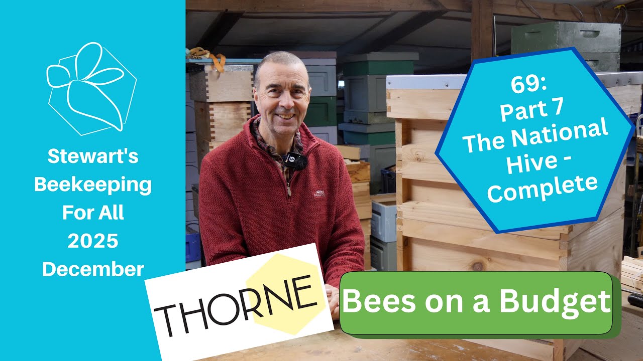 69: Bees on a Budget - Part 7 The Hive - Stewart Spinks From The Norfolk Honey Co.