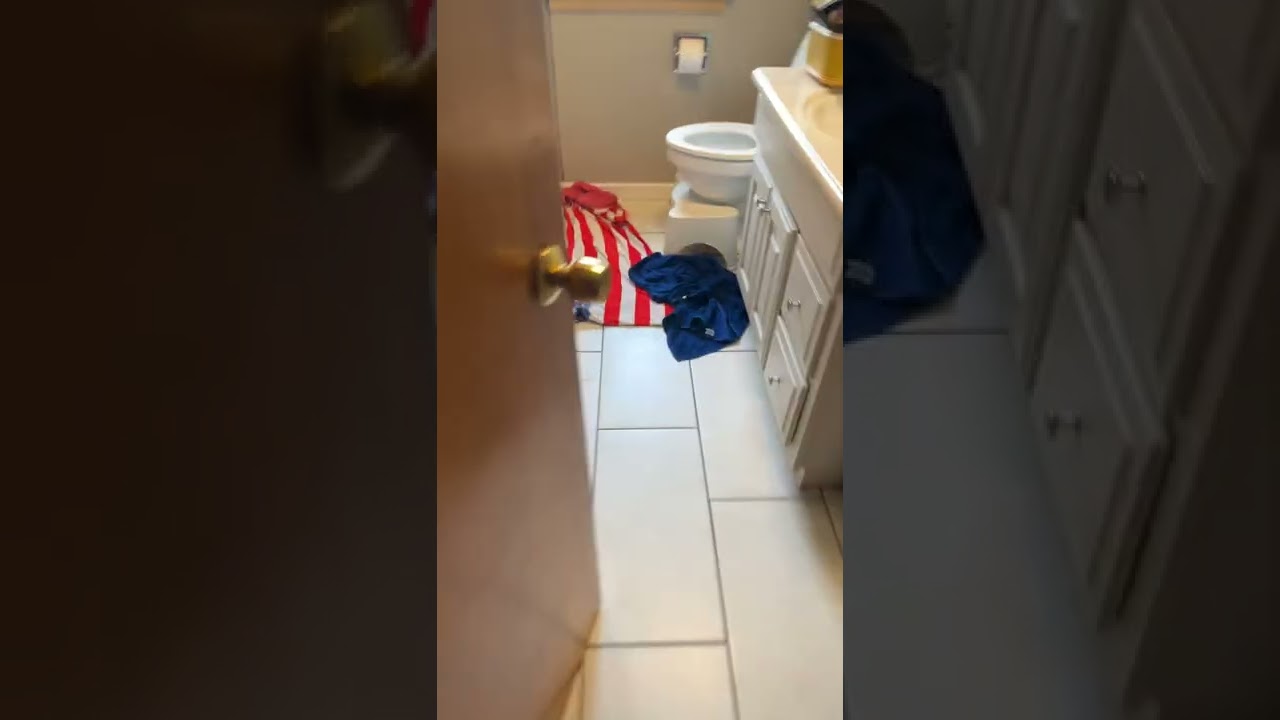 Soap shoe sonic plush review