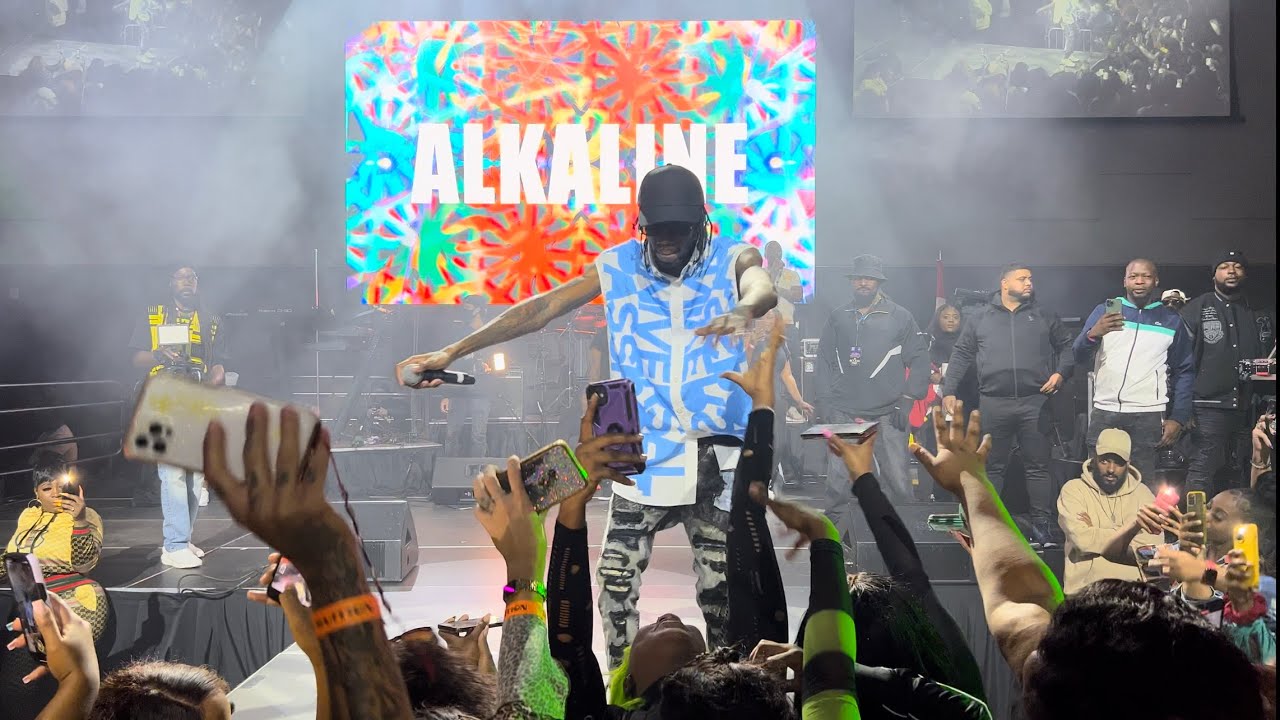 Alkaline Delivers A Stunning Performance At Fruition Musical Expo