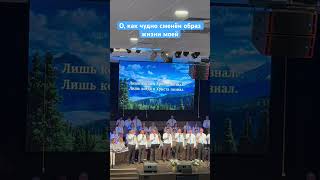 О, как чудно сменен образ жизни моей.#христианство #христианскиепесни #christiansongs #slavicchurch