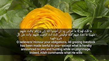 تلاوة خاشعة من سورة المائدة محمد الغزالي..