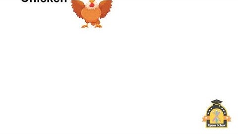 Increased Efficiency and Reduced Costs Using Compact Poultry Slaughter Line