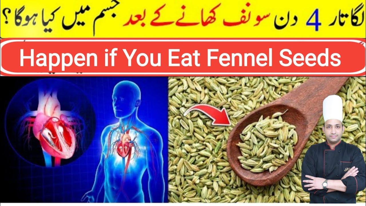 Saunf khane se Kya hota hai ! Fennel Seeds.Chefnaeem1982 YouTube