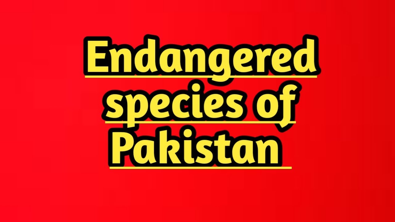 Endangered species of Pakistan - YouTube